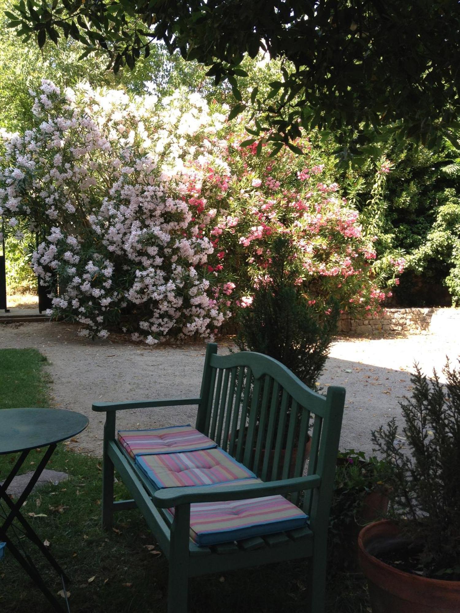 L'enclos *
